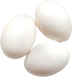 3 White Eggs